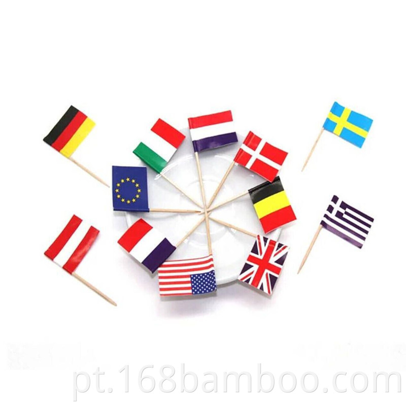 wooden toothpicks flag